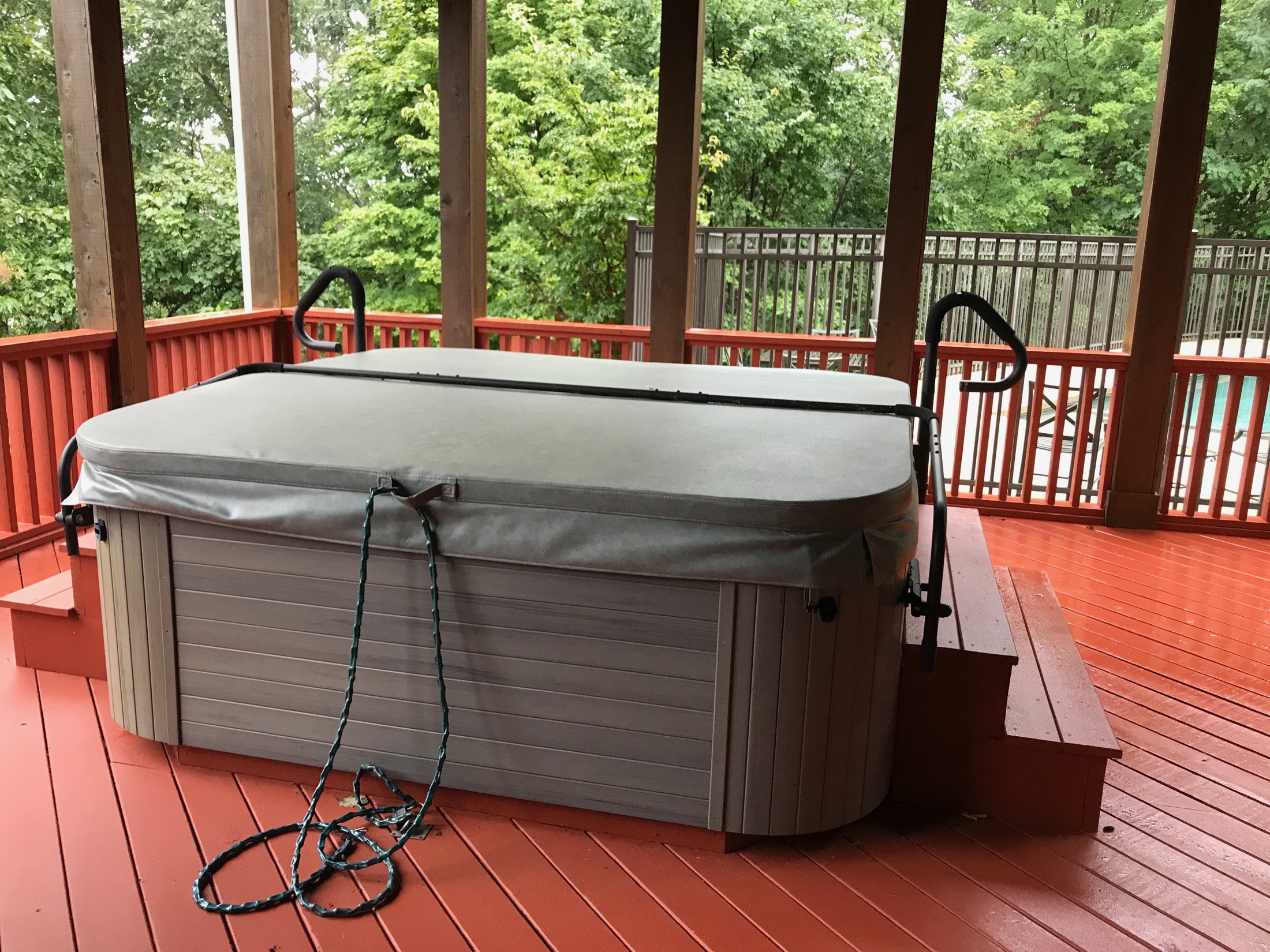 Pool & Spa at 139 Mountain Springs Way — photo 4